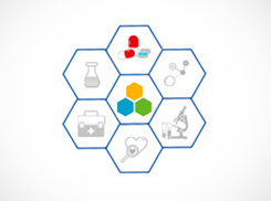 全面貫徹落實“五大”發展理念……